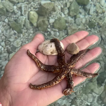 4 Enjoy شقة كومارنا