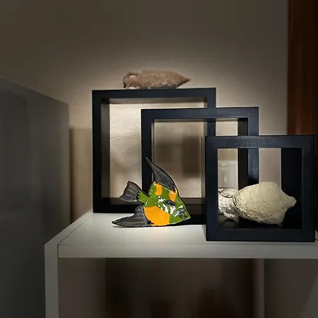 4 Enjoy * كومارنا