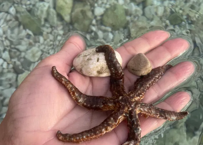 4 Enjoy דירה קומרנה