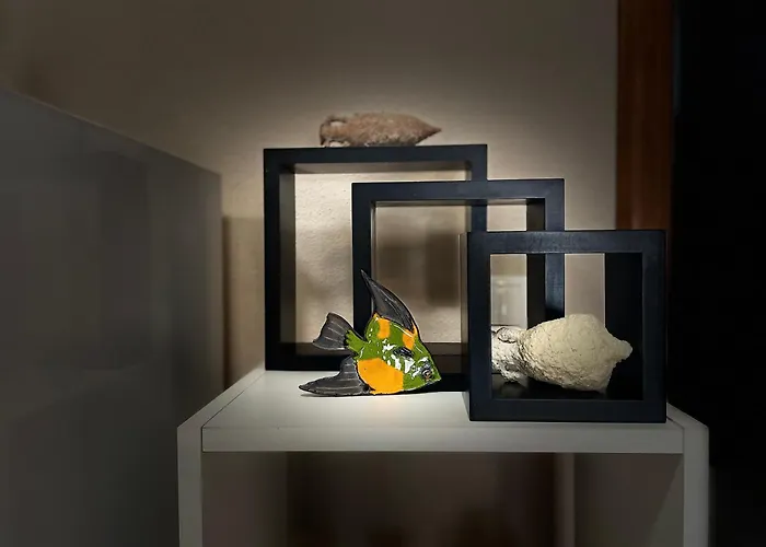 4 Enjoy * קומרנה