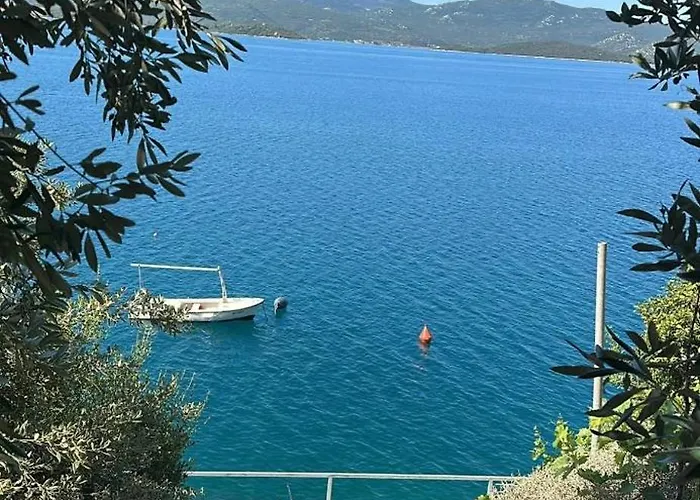 4 Enjoy * קומרנה